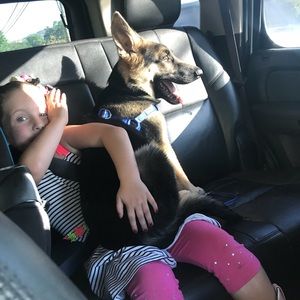 Help save my puppy 💙